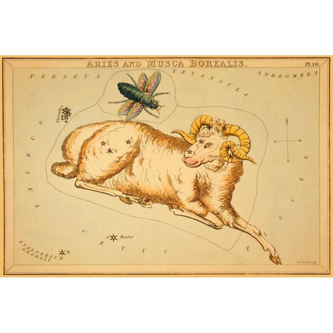 Aries and Musca Borealis, 1825 Gold Ornate Wood Framed Art Print with Double Matting by Aspin, Jehoshaphat