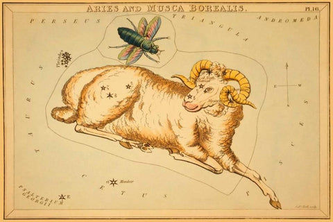 Aries and Musca Borealis, 1825 Black Ornate Wood Framed Art Print with Double Matting by Aspin, Jehoshaphat