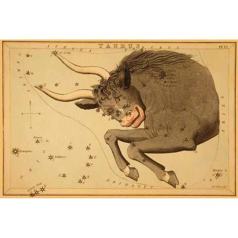 Taurus the Bull, 1825 Black Modern Wood Framed Art Print with Double Matting by Aspin, Jehoshaphat