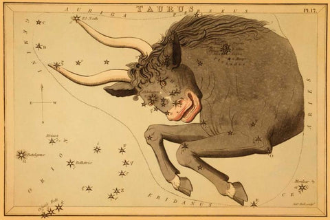 Taurus the Bull, 1825 Black Ornate Wood Framed Art Print with Double Matting by Aspin, Jehoshaphat