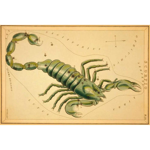 Scorpio, 1825 Black Modern Wood Framed Art Print by Aspin, Jehoshaphat