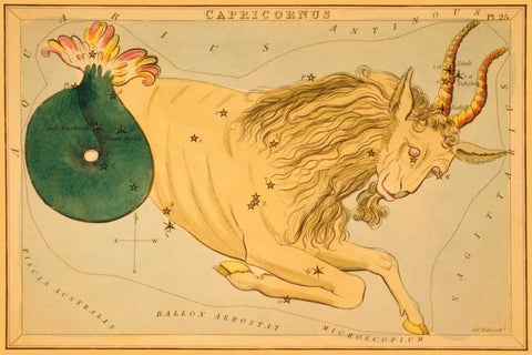 Capricorn, 1825 White Modern Wood Framed Art Print with Double Matting by Aspin, Jehoshaphat