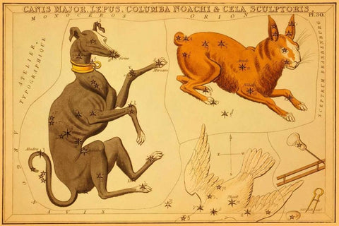 Canis Major, Lepus, Columba Noachi and Cela Sculptoris, 1825 Black Ornate Wood Framed Art Print with Double Matting by Aspin, Jehoshaphat