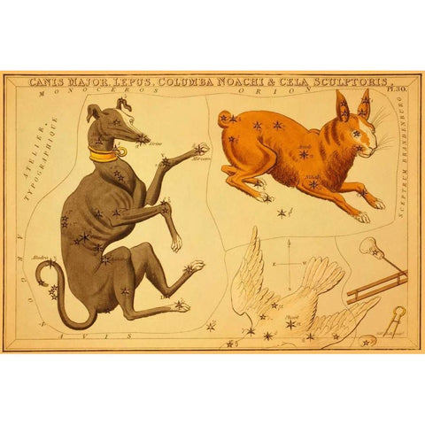 Canis Major, Lepus, Columba Noachi and Cela Sculptoris, 1825 Black Modern Wood Framed Art Print with Double Matting by Aspin, Jehoshaphat