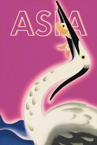 The Fisher Cormorant, 1932 White Modern Wood Framed Art Print with Double Matting by McIntosh, Frank