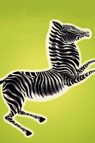 Zebra, 1933 White Modern Wood Framed Art Print with Double Matting by McIntosh, Frank