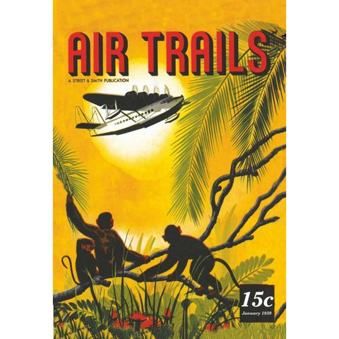 Seaplane Over the Tropics White Modern Wood Framed Art Print by Unknown