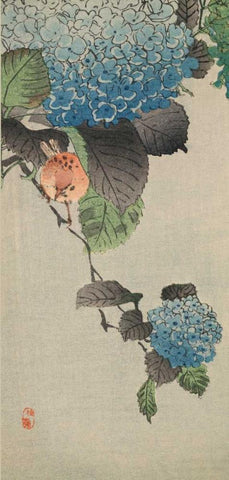 Small bird and hydrangea Black Ornate Wood Framed Art Print with Double Matting by Unknown