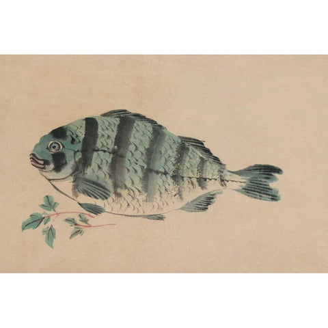 Striped Bass Gold Ornate Wood Framed Art Print with Double Matting by Unknown