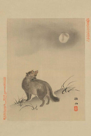 Fox Black Ornate Wood Framed Art Print with Double Matting by Unknown