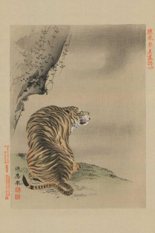 Tiger Black Ornate Wood Framed Art Print with Double Matting by Unknown