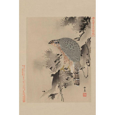 Hawk Black Modern Wood Framed Art Print by Unknown