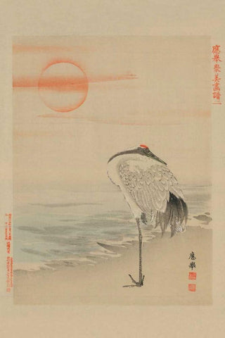 Heron White Modern Wood Framed Art Print with Double Matting by Unknown