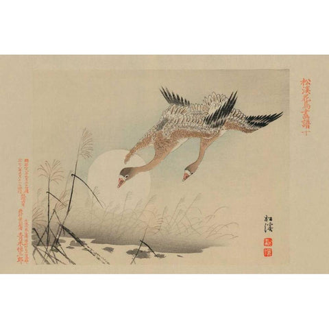 Flying Cranes White Modern Wood Framed Art Print by Unknown