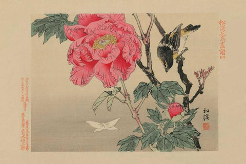 Bird watching a Butterfly Black Ornate Wood Framed Art Print with Double Matting by Unknown