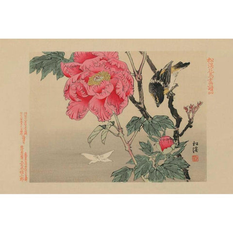 Bird watching a Butterfly Black Modern Wood Framed Art Print by Unknown