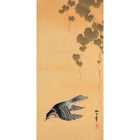 Small bird and grapes Black Modern Wood Framed Art Print by Unknown