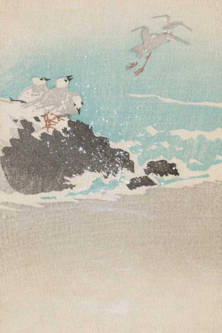 Plovers over waves White Modern Wood Framed Art Print with Double Matting by Unknown