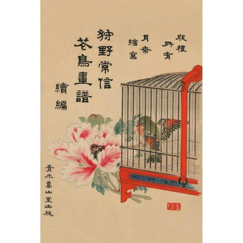 Caged Bird and Flower Black Modern Wood Framed Art Print with Double Matting by Unknown