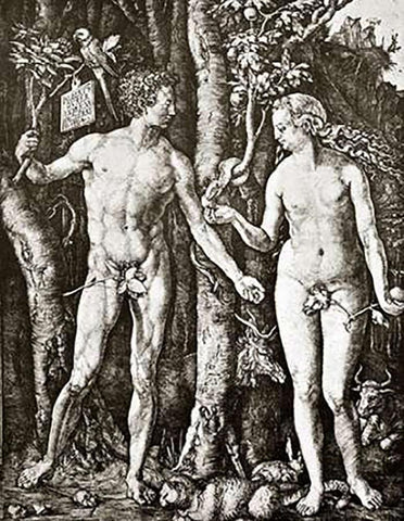 Adam And Eve White Modern Wood Framed Art Print with Double Matting by Durer, Albrecht