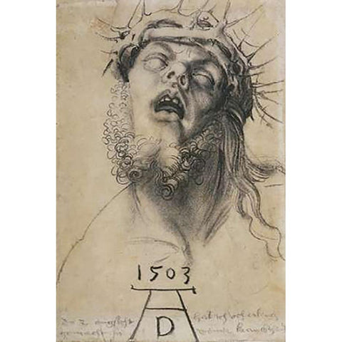 Head Of The Dead Museumist White Modern Wood Framed Art Print by Durer, Albrecht