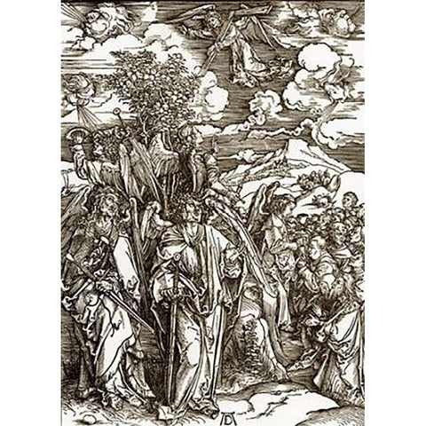 The Revelation Of St John 6 Black Modern Wood Framed Art Print by Durer, Albrecht