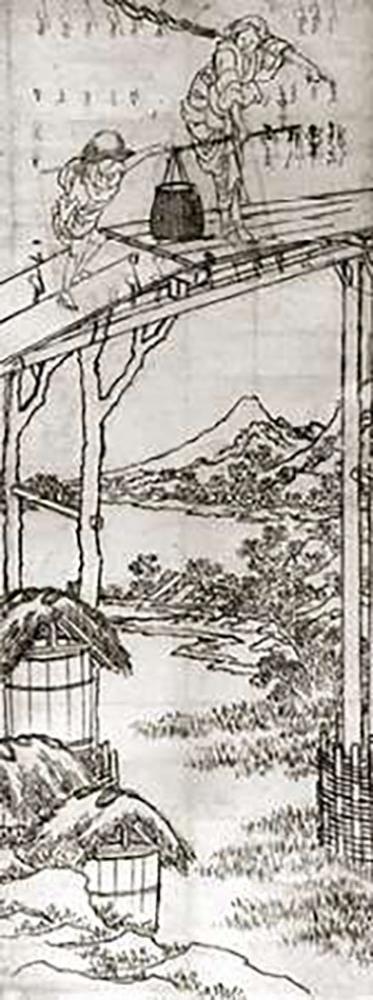 Image Only