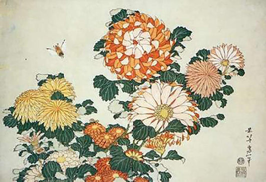 Image Only