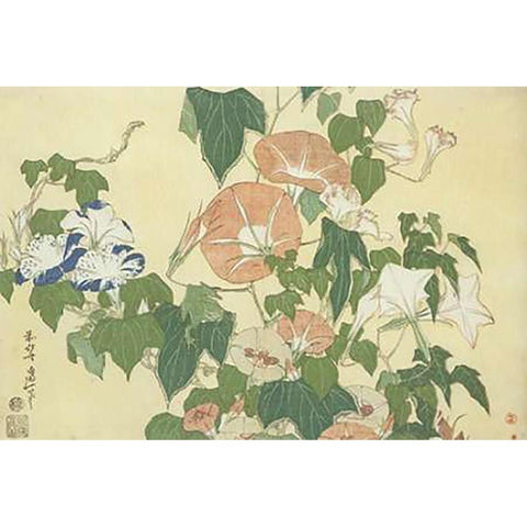 Convolvulus And Tree Frog White Modern Wood Framed Art Print by Hokusai