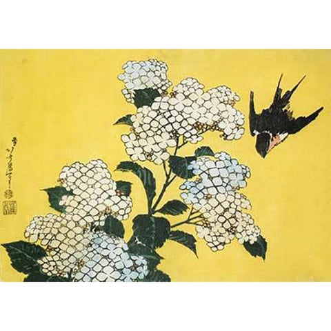 Hydrangea And Swallow Black Modern Wood Framed Art Print with Double Matting by Hokusai