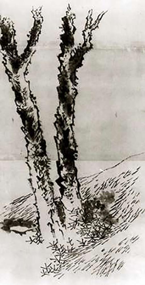 Image Only