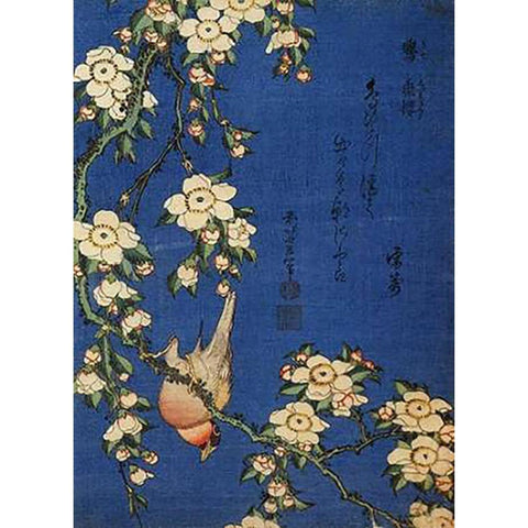 Weeping Cherry And A Bullfinch Black Modern Wood Framed Art Print with Double Matting by Hokusai