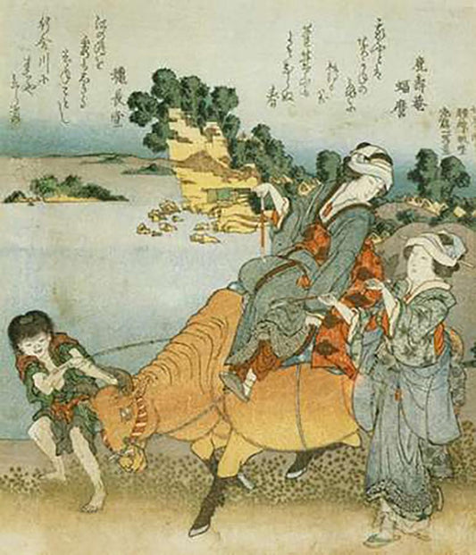 Image Only