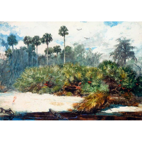 In A Florida Jungle Gold Ornate Wood Framed Art Print with Double Matting by Homer, Winslow