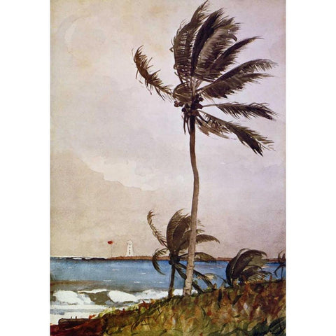 Palm Tree Nassau White Modern Wood Framed Art Print by Homer, Winslow