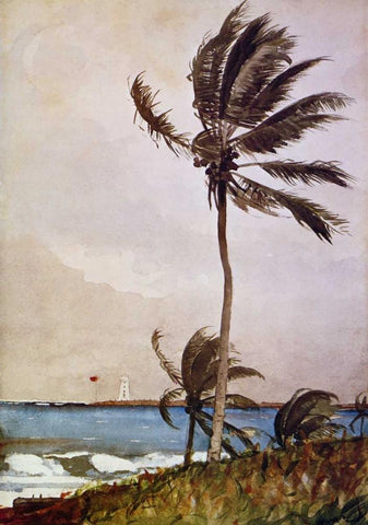 Palm Tree Nassau Black Ornate Wood Framed Art Print with Double Matting by Homer, Winslow