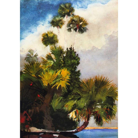 Palm Trees Florida White Modern Wood Framed Art Print by Homer, Winslow