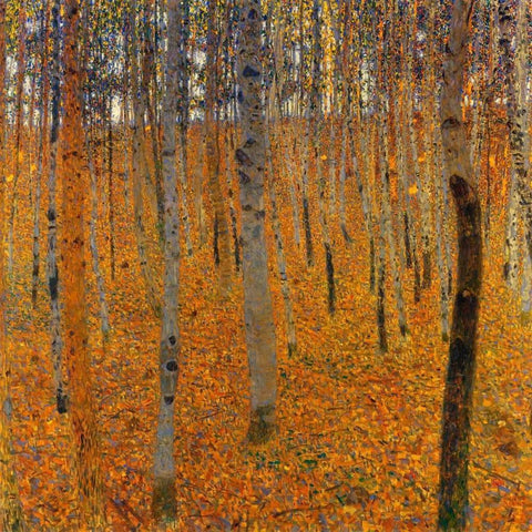 Beech Forest I 1902 Black Ornate Wood Framed Art Print with Double Matting by Klimt, Gustav