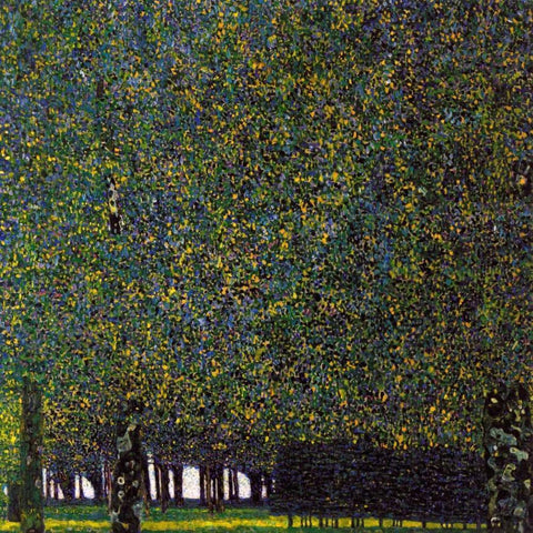 Park White Modern Wood Framed Art Print by Klimt, Gustav