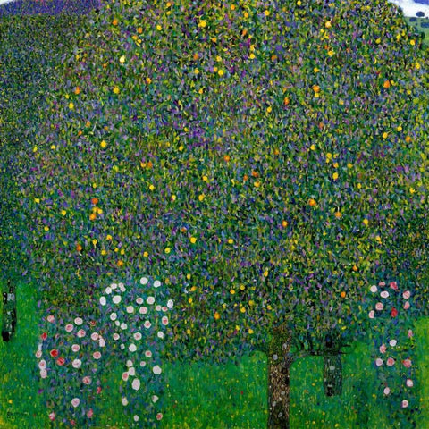 Roses Under Trees 1904 White Modern Wood Framed Art Print by Klimt, Gustav