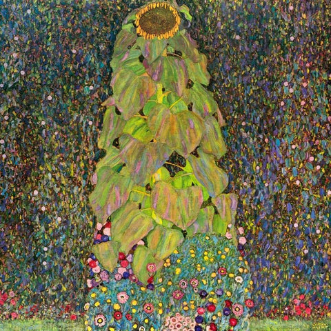 Sunflower White Modern Wood Framed Art Print with Double Matting by Klimt, Gustav