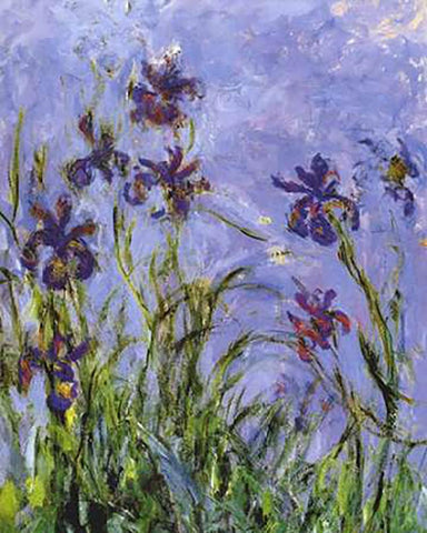Irises (detail) White Modern Wood Framed Art Print with Double Matting by Monet, Claude