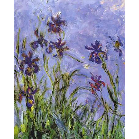 Irises (detail) Black Modern Wood Framed Art Print by Monet, Claude