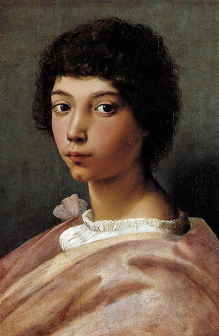 Portrait Of A Young Man White Modern Wood Framed Art Print with Double Matting by Raphael