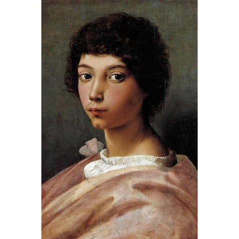 Portrait Of A Young Man Black Modern Wood Framed Art Print by Raphael