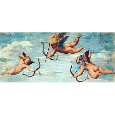 Trionfo Di Galatea Black Modern Wood Framed Art Print with Double Matting by Raphael