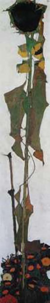 Image Only