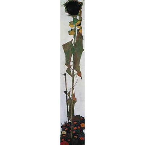 Sunflower II 1909 Black Modern Wood Framed Art Print with Double Matting by Schiele, Egon