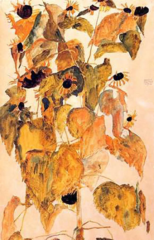 Image Only