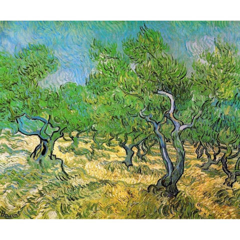 Olive Grove Black Modern Wood Framed Art Print with Double Matting by Van Gogh, Vincent